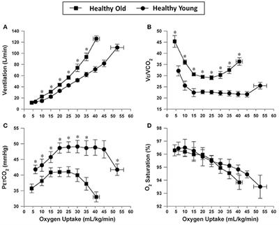 Advances in the Evaluation of Respiratory Pathophysiology during Exercise in Chronic Lung Diseases